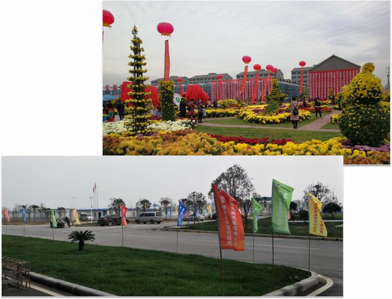 卉丰源菊花展、九州活动